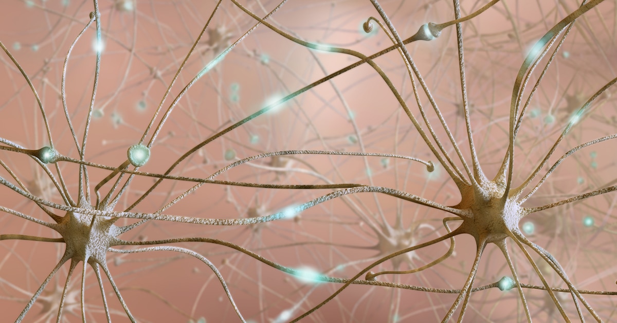 Opiates Shocking Secret What They Share With Your Brain - 471o2jk