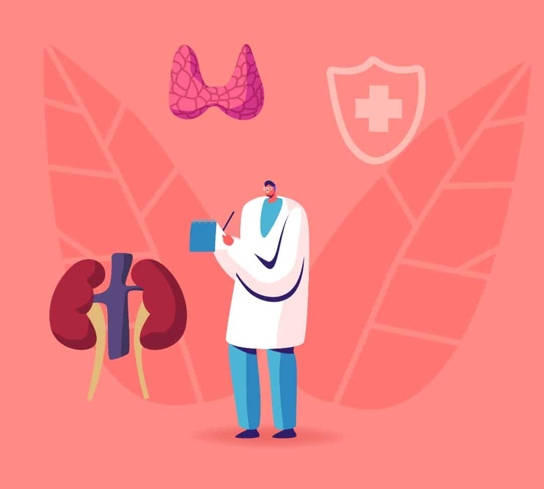 Illustration of a doctor and organs representing the endocrine system.